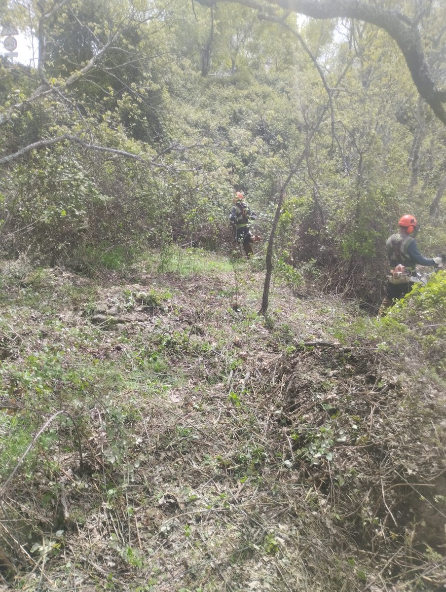 GOClimaforest's tweet image. Ejecución de fajas auxiliares a ambos lados del camino en el Monte Piornal. La prevención de incendios forestales es también ejemplo de lucha contra la pérdida de biodiversidad, detiene la erosión de suelos y mantiene el carbono en la masa forestal y el sustrato edáfico.🌳🌳🌳