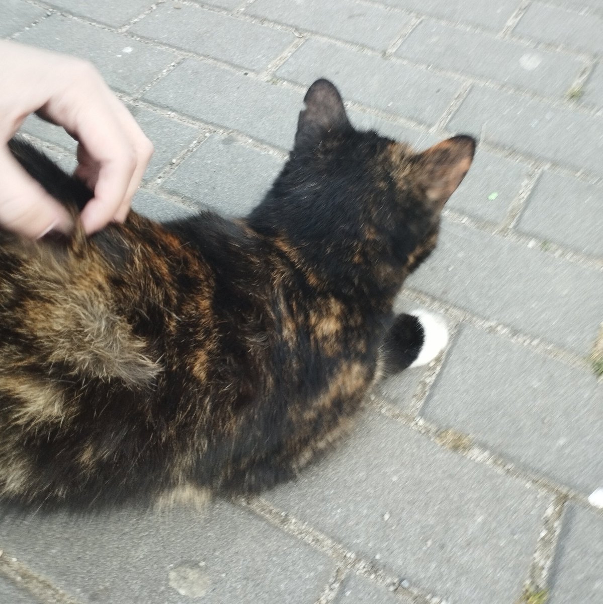 baru 📷🫀🗺️ tweet media