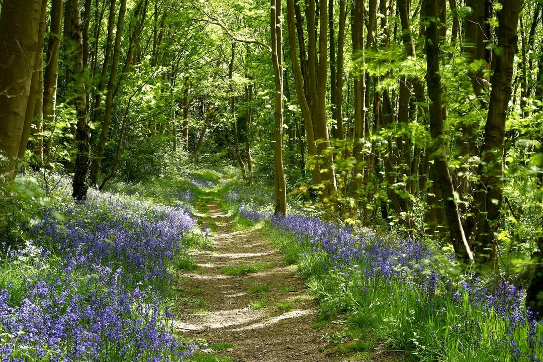Peak District National Park (@peakdistrict) on Twitter photo #MentalHealthAwarenessWeek
Being outside with nature, even for short periods, can significantly benefit mental and physical well-being.
The #PeakDistrict has over 550 sq miles to find the space and light that you might need. ๐๐ฅฐ
#MHAW25 <a href="/mentalhealth/">Mental Health Foundation</a>
๐ท Chris Gilbert #MentalHealthAwarenessWeek
Being outside with nature, even for short periods, can significantly benefit mental and physical well-being.
The #PeakDistrict has over 550 sq miles to find the space and light that you might need. ๐๐ฅฐ
#MHAW25 <a href="/mentalhealth/">Mental Health Foundation</a>
๐ท Chris Gilbert