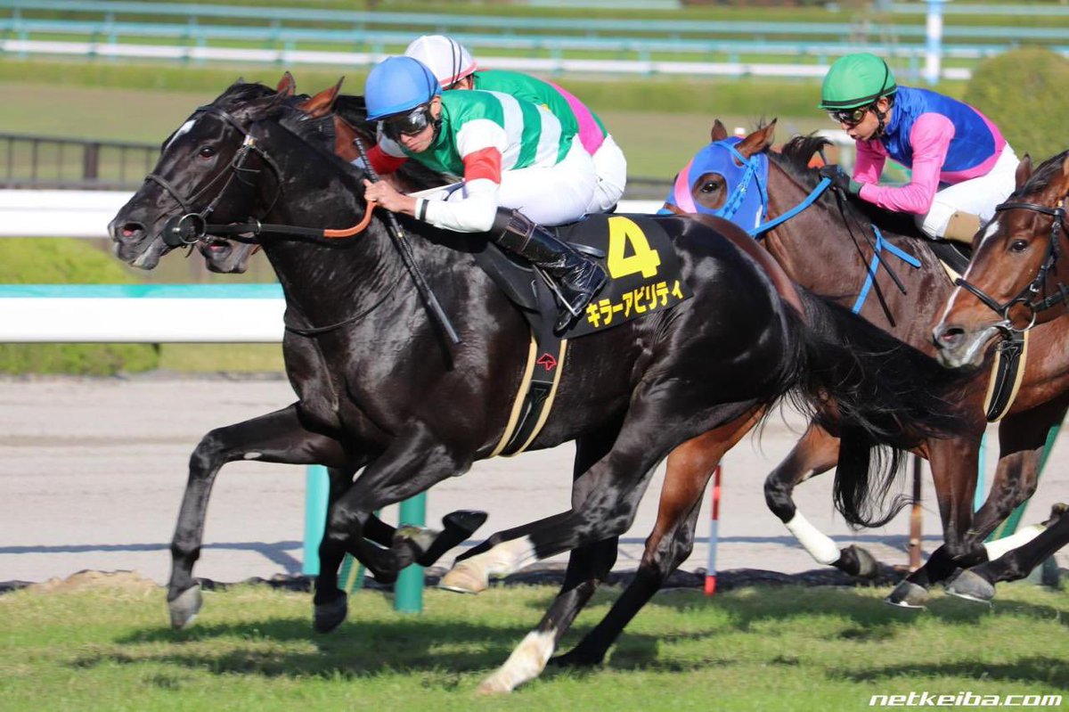 Japanese Gr.1 winner Killer Ability (Deep Impact) retires to India for Nanoli Stud, Equus and SKJ Thoroughbreds. Deal done by Gaurav Rampal <a href="/BloodstockWorld/">Gaurav Rampal</a> he is the third son of Deep Impact to retire to stud in India after Fiero (Manjri) and Satono Impresa (Poonawalla)