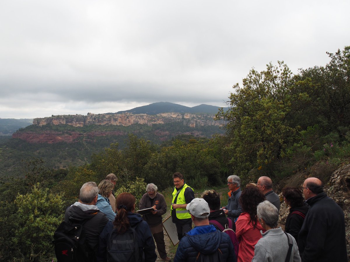 Taller_de_Geologia (@tgeologia) on Twitter photo L èxit dels geolodies així com altres activitats de sociabilització de la geologia demostren l interés que té la gent per conèixer la geologia del seu entorn. Cal seguir picant. <a href="/TGeologia/">Taller_de_Geologia</a> <a href="/espaigea/">espaigea</a> <a href="/GeolegCAT/">Geòleg.cat ⚒️</a> <a href="/blocdecamp/">Isaac Camps</a> <a href="/GrupMinCat/">Grup Mineralògic Cat</a> @ojanespelt <a href="/cienciesperill/">Plataforma Ciències en Perill</a> L èxit dels geolodies així com altres activitats de sociabilització de la geologia demostren l interés que té la gent per conèixer la geologia del seu entorn. Cal seguir picant. <a href="/TGeologia/">Taller_de_Geologia</a> <a href="/espaigea/">espaigea</a> <a href="/GeolegCAT/">Geòleg.cat ⚒️</a> <a href="/blocdecamp/">Isaac Camps</a> <a href="/GrupMinCat/">Grup Mineralògic Cat</a> @ojanespelt <a href="/cienciesperill/">Plataforma Ciències en Perill</a>