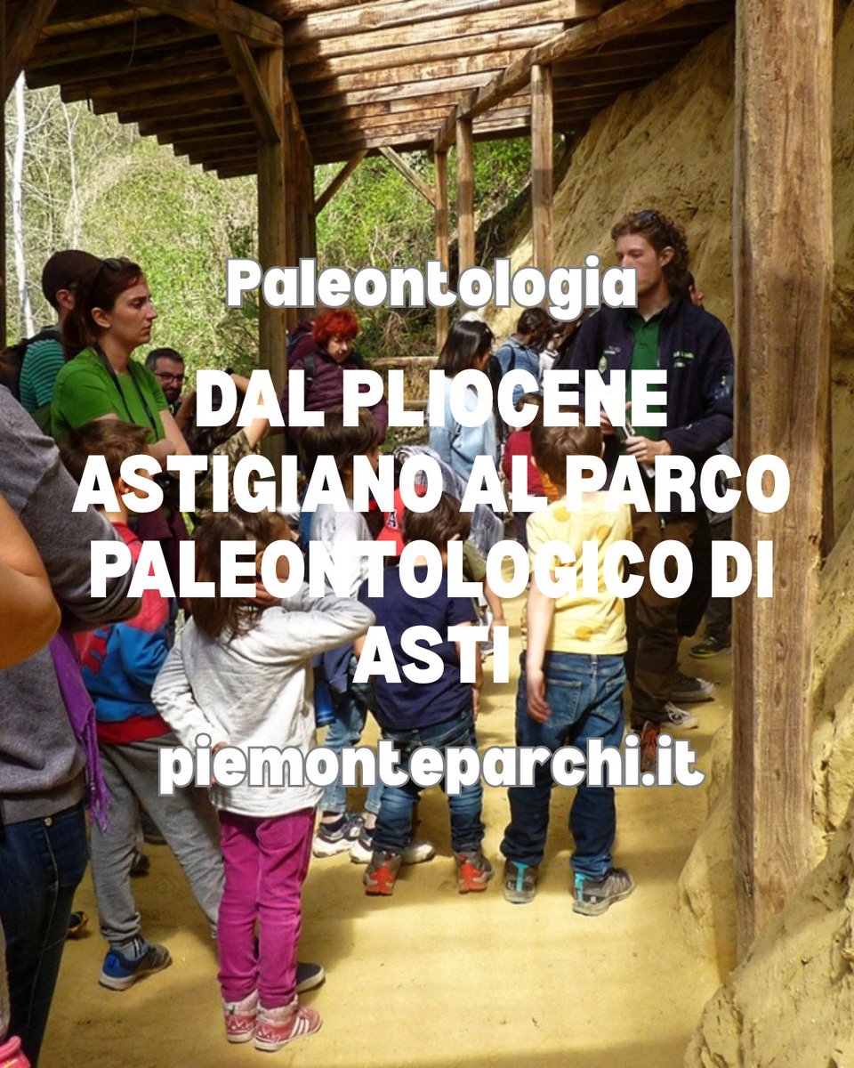 Tra le colline di Valle Andona, si nascondono innumerevoli conchiglie marine ancora intatte, testimonianza del mare che milioni di anni fa ricopriva il Bacino Astigiano.
Se ne parlerà il 18 Maggio ore 17.30, spazio Arancio a #SalTo25 fb.me/e/5wkEaYR5s?mi…
#piemonteparchi