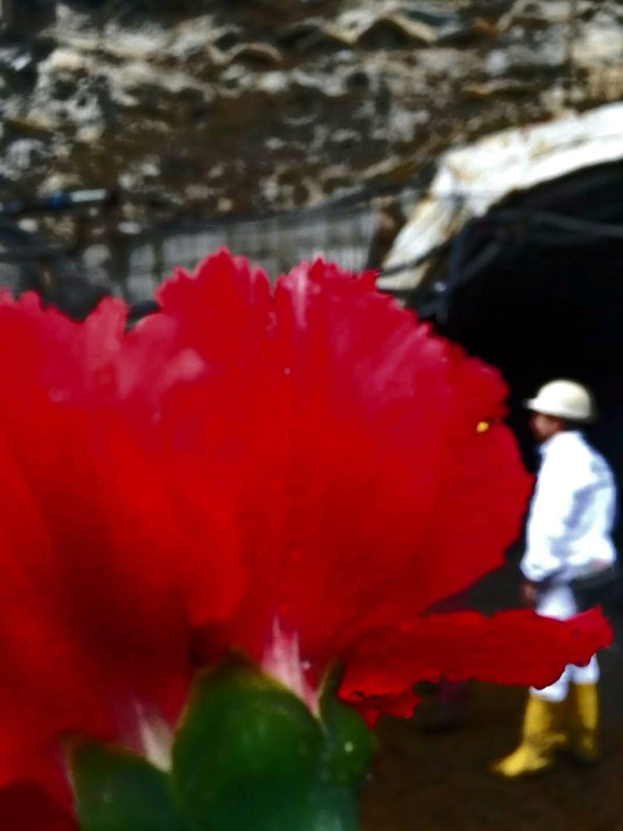 Soma'da 301 madenci katledildi. Katliamın sorumlularına ödül gibi cezalar verildi. 
Unutmayacağız!
Soma İçin Adalet!