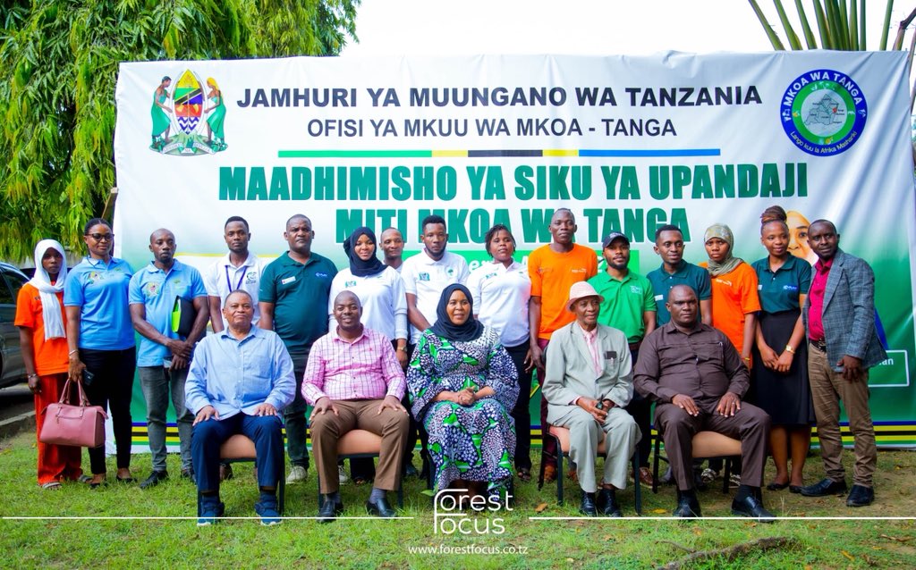 Forest Focus tweet media