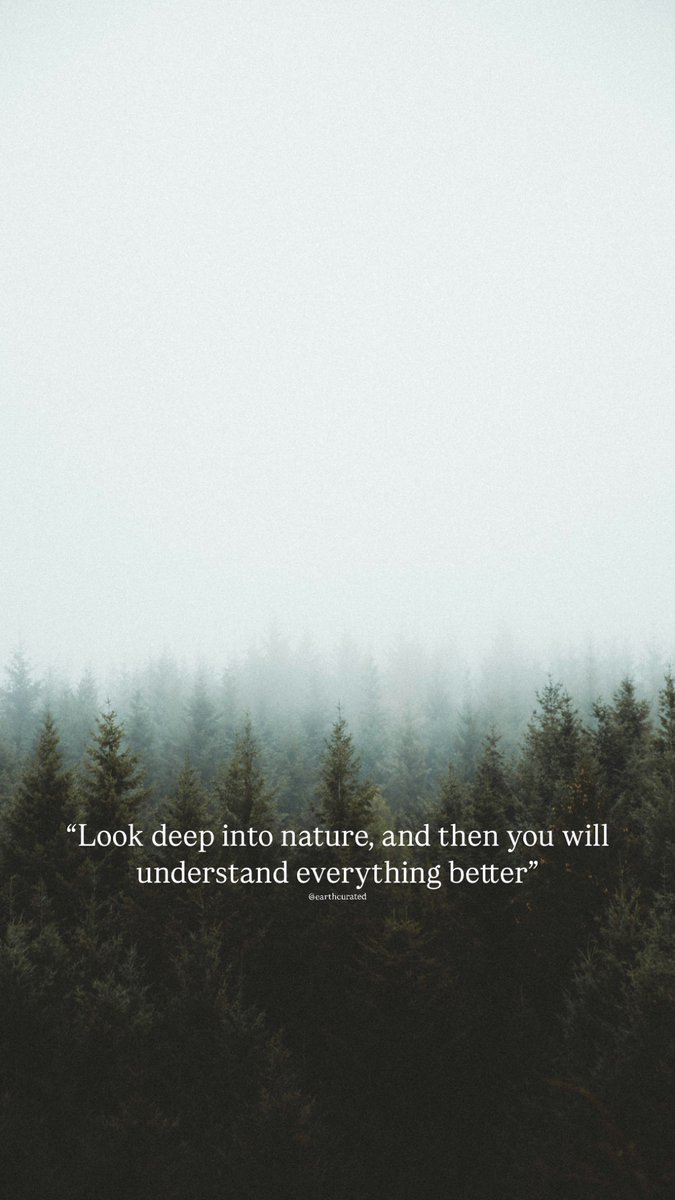 Earth (@earthcurated) on Twitter photo 