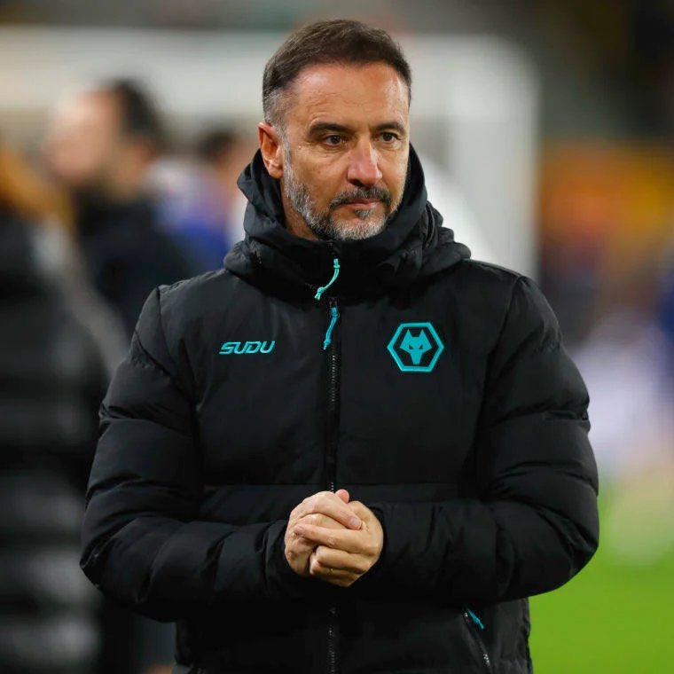 🐺 WeAreWolves 🐺 tweet media