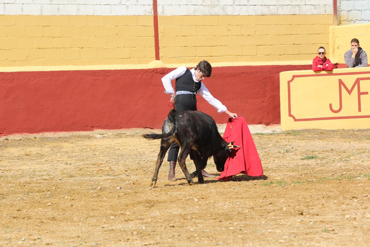 Continuamos con la preparación.
El domingo tuve el privilegio de tentar en un lugar de ensueño, desde aquí quiero agradecer a la ganadería Los Maños por abrirme las puertas de su casa y dejarme disfrutar y sentir las embestidas de sus animales.