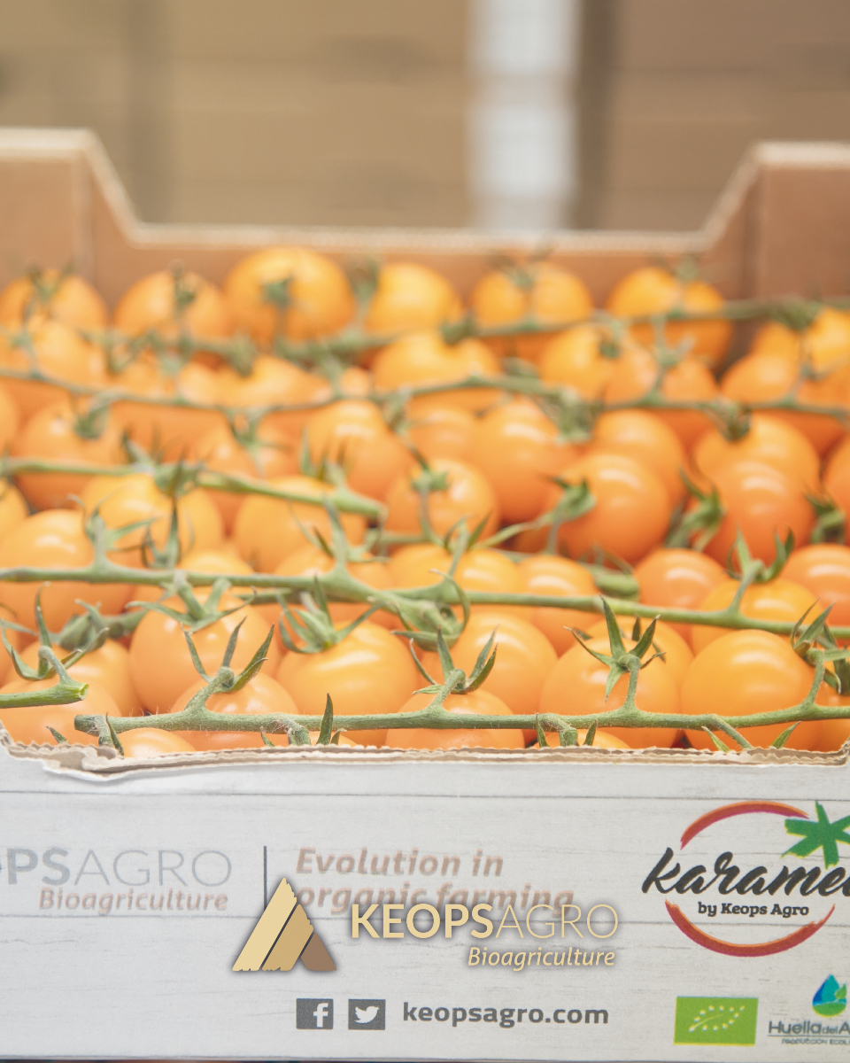 Keops Agro tweet media