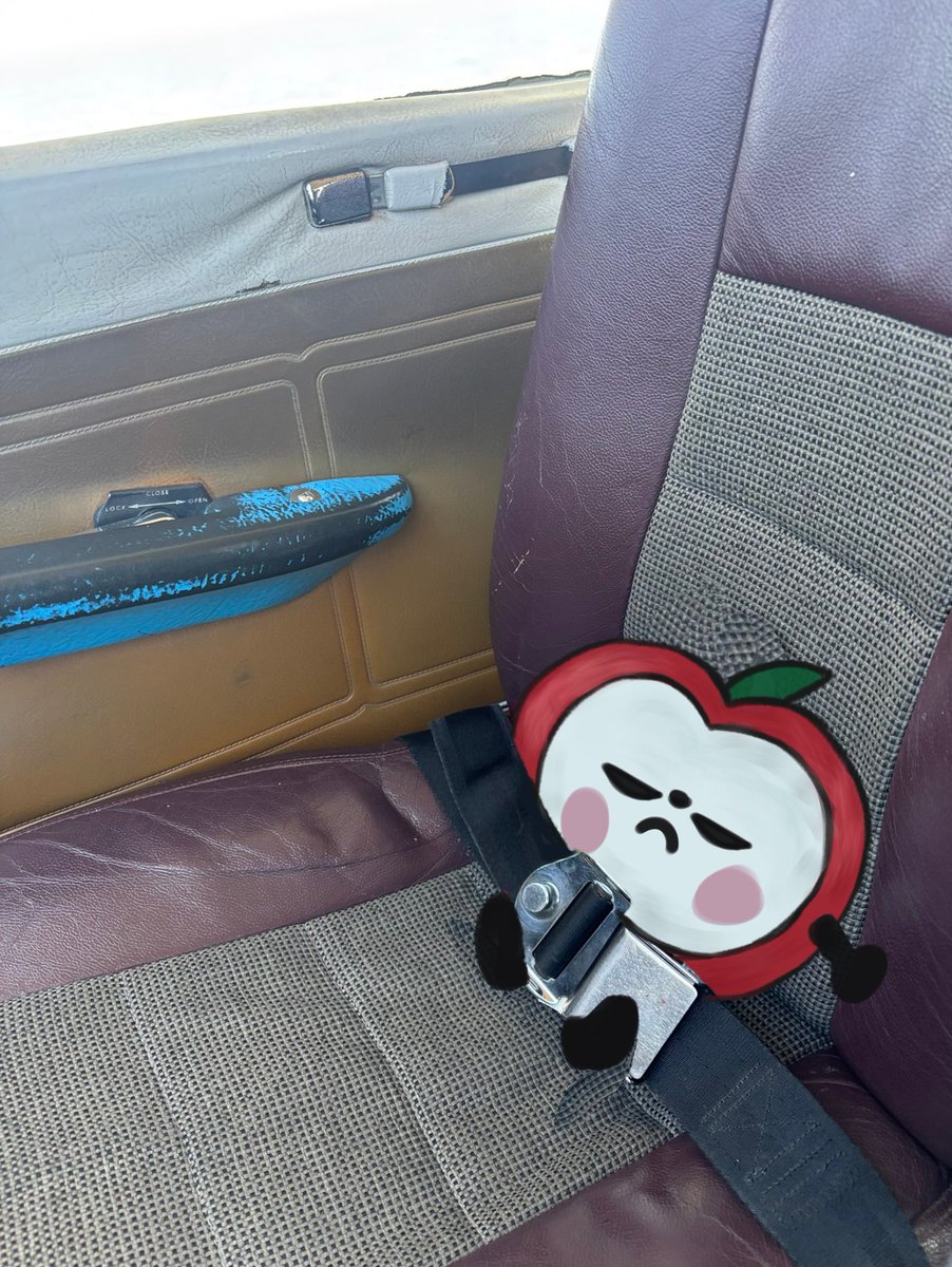 "Pipsqueak :D I brought someone with me flying today"

#Caleb #LoveandDeepspace