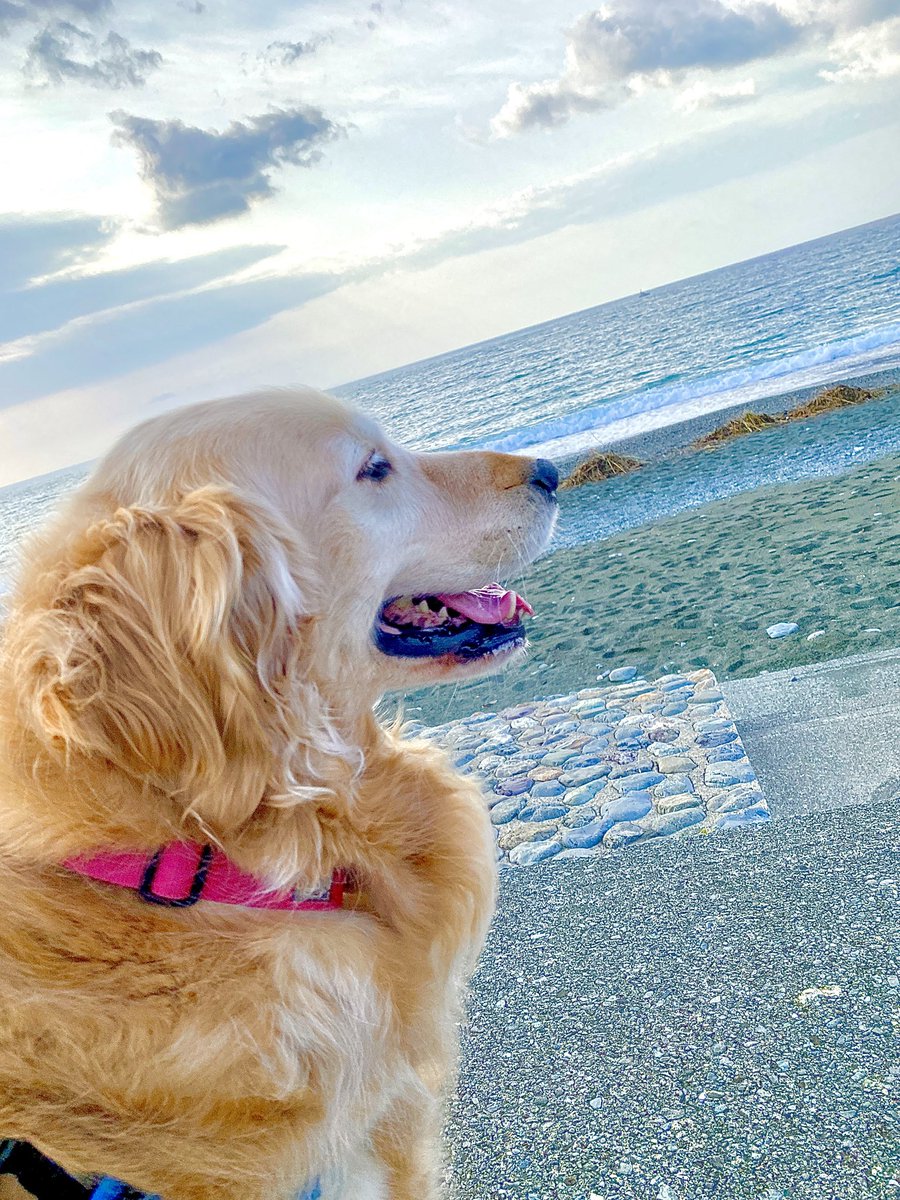 一緒に生きよう(*'ᴗ'*)