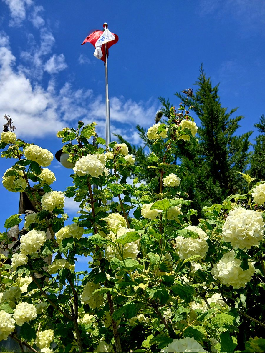 Ne tuhaf bir şey🫠   
O Allah' ki yarattığı her şeyi güzel yarattı.  
Secde,7.