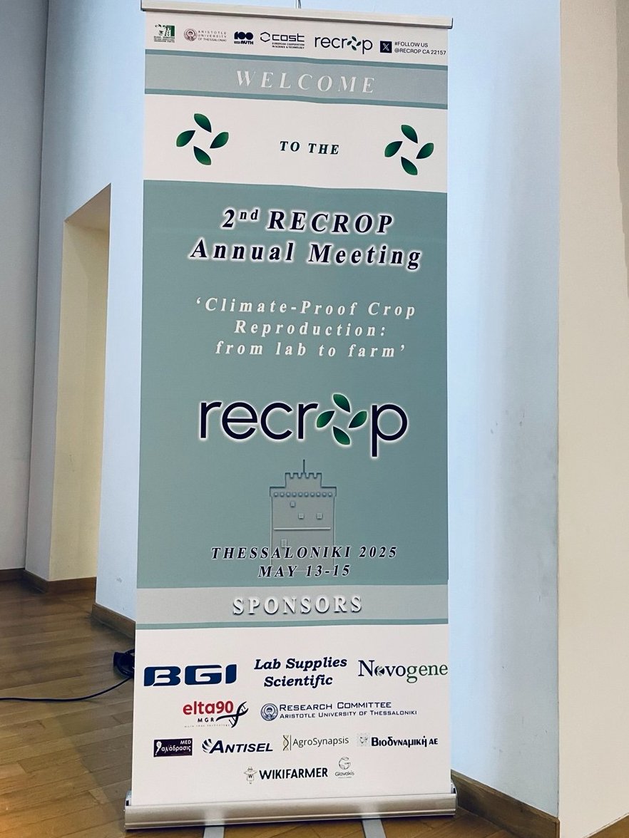 Recrop22157's tweet image. Welcome to Day 1 of the #RECROP2025 Annual Meeting in Thessaloniki! Excited to explore climate-proof crop reproduction from lab to farm.

#RECROPCOST #FoodSecurity #ClimateChange #