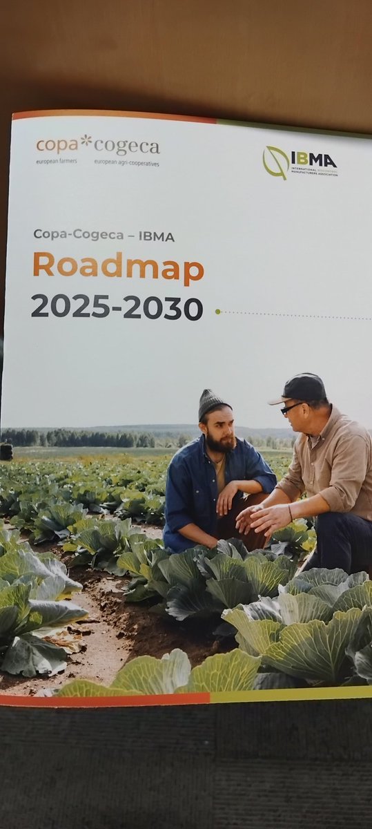 Paula de Vera tweet media