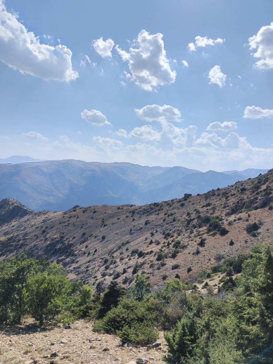 Ölüm bu,fukara ölümü.
Geldim,geliyorum demez.
Ya bir kuşluk vakti,ya akşam üstü...
Ya da seher,
Mahmurlukta.
Bakarsın olmuş olacak
     
        Ahmed Arif