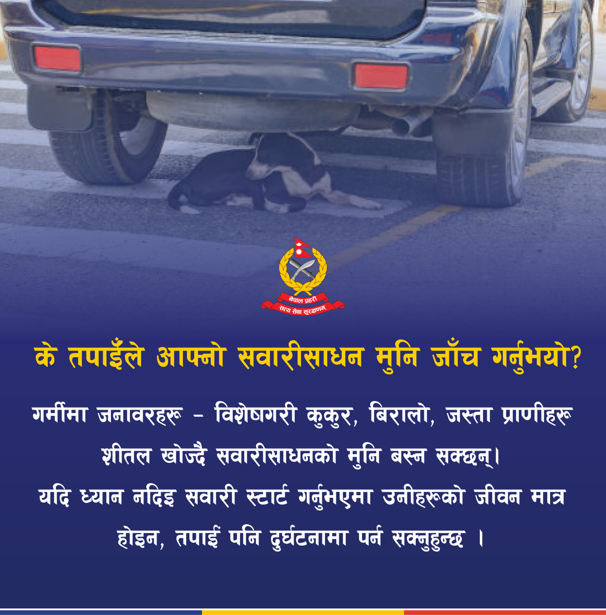 के तपाइँले आफ्नो सवारीसाधन मुनि जाँच गर्नुभयो ?