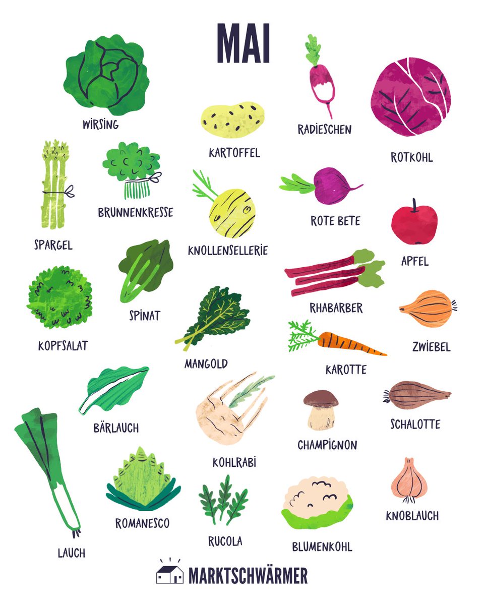 Das Angebot an regionalem Gemüse wird im Mai so richtig bunt und vielfältig! 🥬🌱 Neben der heiß erwarteten Spargelsaison startet jetzt auch die Salatsaison – fast alle Sorten sind endlich wieder frisch aus dem Freilandanbau verfügbar.