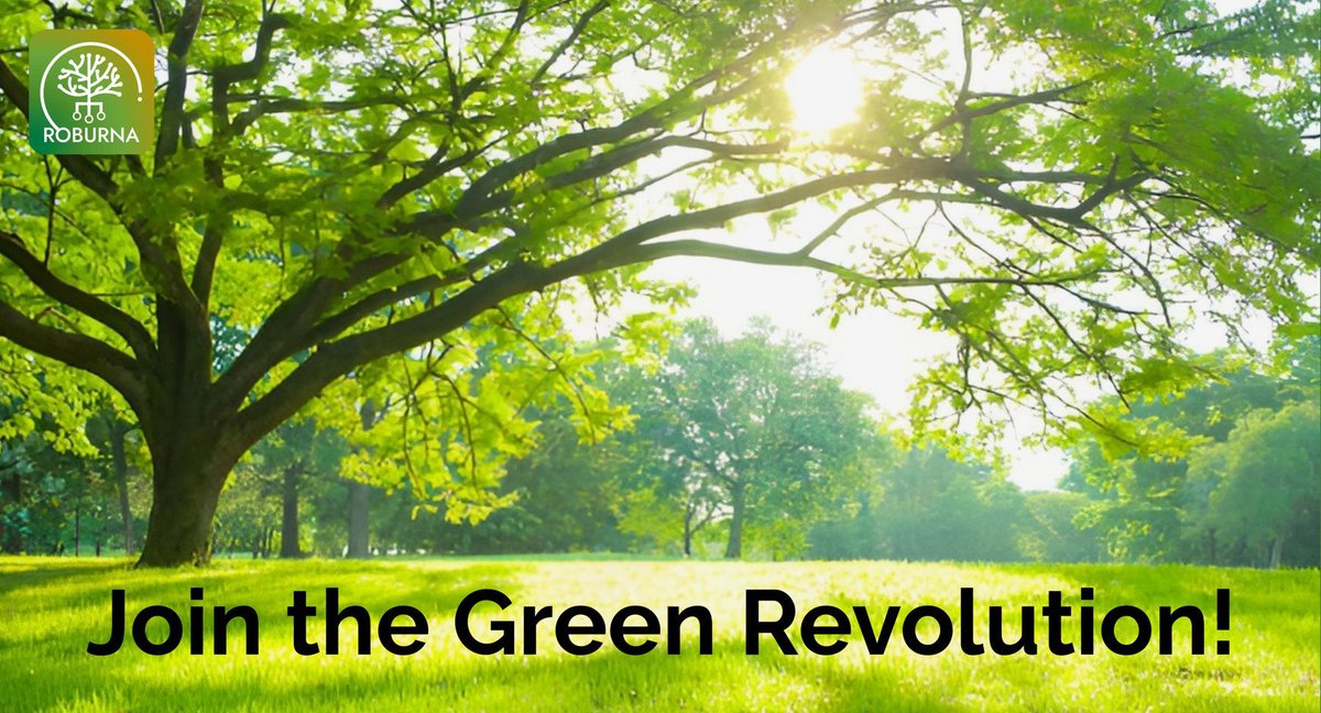 Blockchain is evolving, and Roburna is at the forefront. 🌟
Ready to join the movement toward a greener, more inclusive future?
Learn the basics and start your journey here:
x.com/Roburnaofficia…