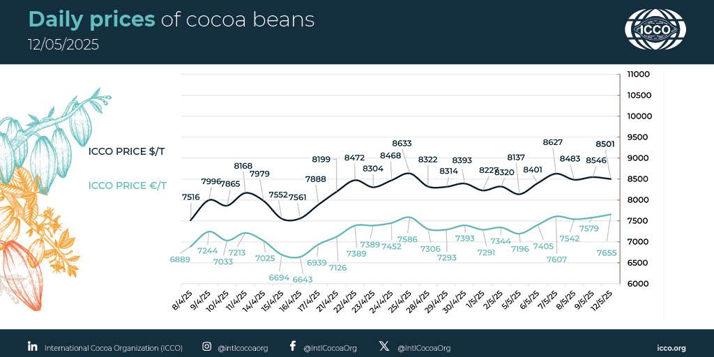 International Cocoa Organization (ICCO) (@intlcocoaorg) on Twitter photo 🔴 12/05/2025 #Cocoa Daily Prices - Prix du jour - Precios diarios - Ежедневные цены
 
💵 ICCO daily price - 8501.09 $/T
💶 ICCO daily price - 7655.23 €/T
 
More #cocoa statistical info in our webpage 🔗 buff.ly/lKFtzFk
#ICCOCocoaHub #ICCOCocoaData #ICCOCocoaKnowledge 🔴 12/05/2025 #Cocoa Daily Prices - Prix du jour - Precios diarios - Ежедневные цены
 
💵 ICCO daily price - 8501.09 $/T
💶 ICCO daily price - 7655.23 €/T
 
More #cocoa statistical info in our webpage 🔗 buff.ly/lKFtzFk
#ICCOCocoaHub #ICCOCocoaData #ICCOCocoaKnowledge
