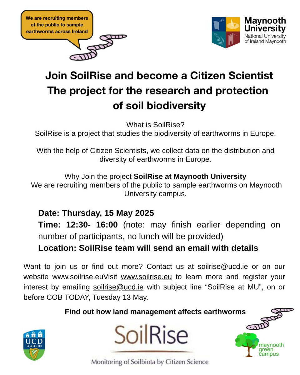 MU Green Campus (@greencampus_mu) on Twitter photo We are recruiting members of the public to sample earthworms on <a href="/MaynoothUni/">Maynooth University</a> campus. Join SoilRise & become a citizen scientist! With your help, this project will look at biodiversity of earthworms in soil across Europe. Hosted by Dr Tara Dirilgen & SoilRise team! Bígí Linn We are recruiting members of the public to sample earthworms on <a href="/MaynoothUni/">Maynooth University</a> campus. Join SoilRise & become a citizen scientist! With your help, this project will look at biodiversity of earthworms in soil across Europe. Hosted by Dr Tara Dirilgen & SoilRise team! Bígí Linn