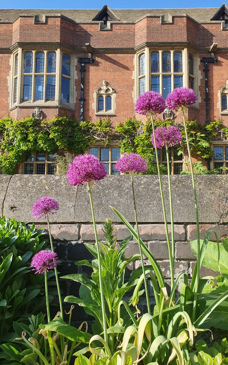 What a beautiful day! 
#CambridgeColleges #Summer