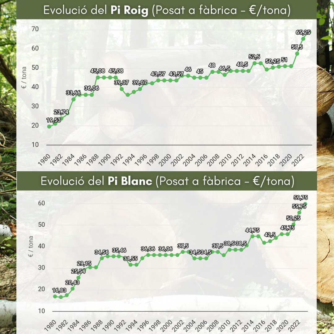 Actualització de preus de la #fusta 🪵 2024

👉 observatoriforestal.cat/preus-de-la-fu…