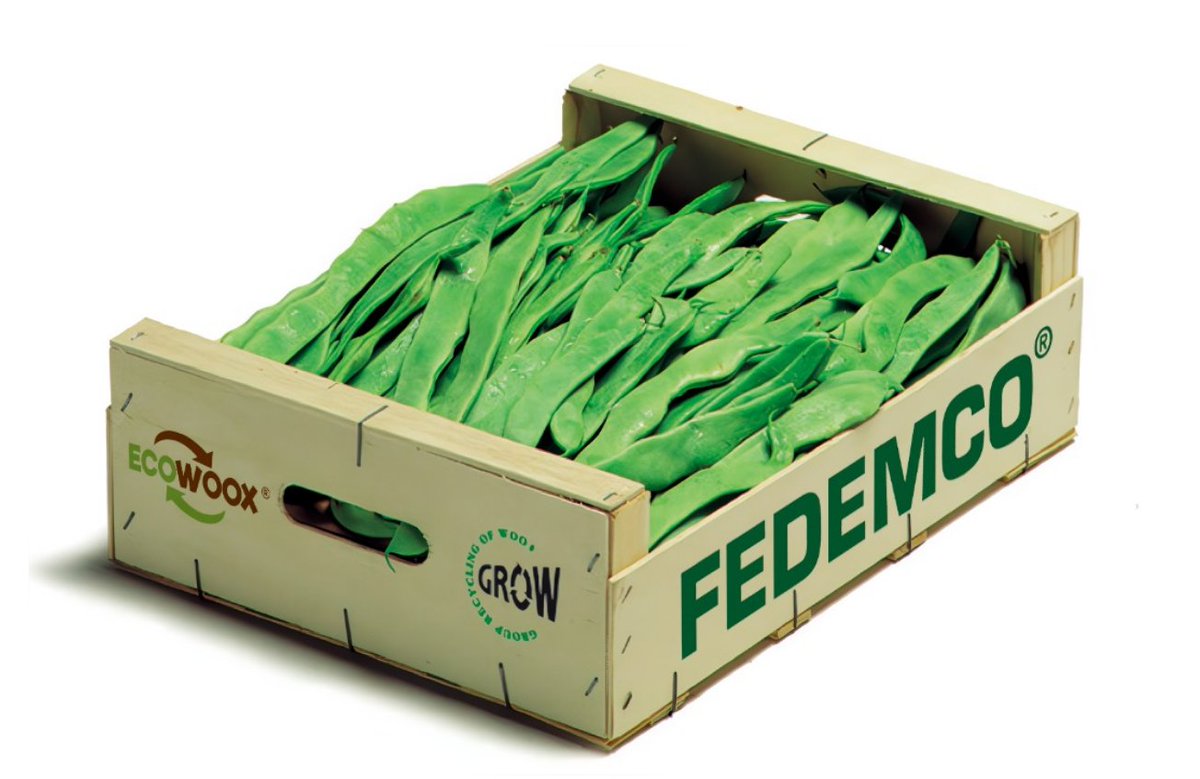 ✅ ¡Temporada de Judía Verde! 🌿
Ligera, sabrosa y repleta de beneficios para tu salud, la judía verde es imprescindible en cualquier dieta equilibrada. 

En FEDEMCO, innovamos en soluciones de embalaje sostenible que cuida del las frutas, verduras… y del planeta. 🌍♻️