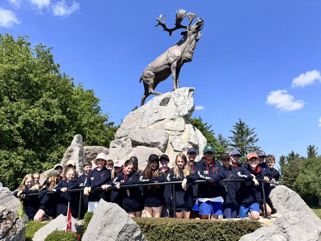 Craig McCarthy tweet media