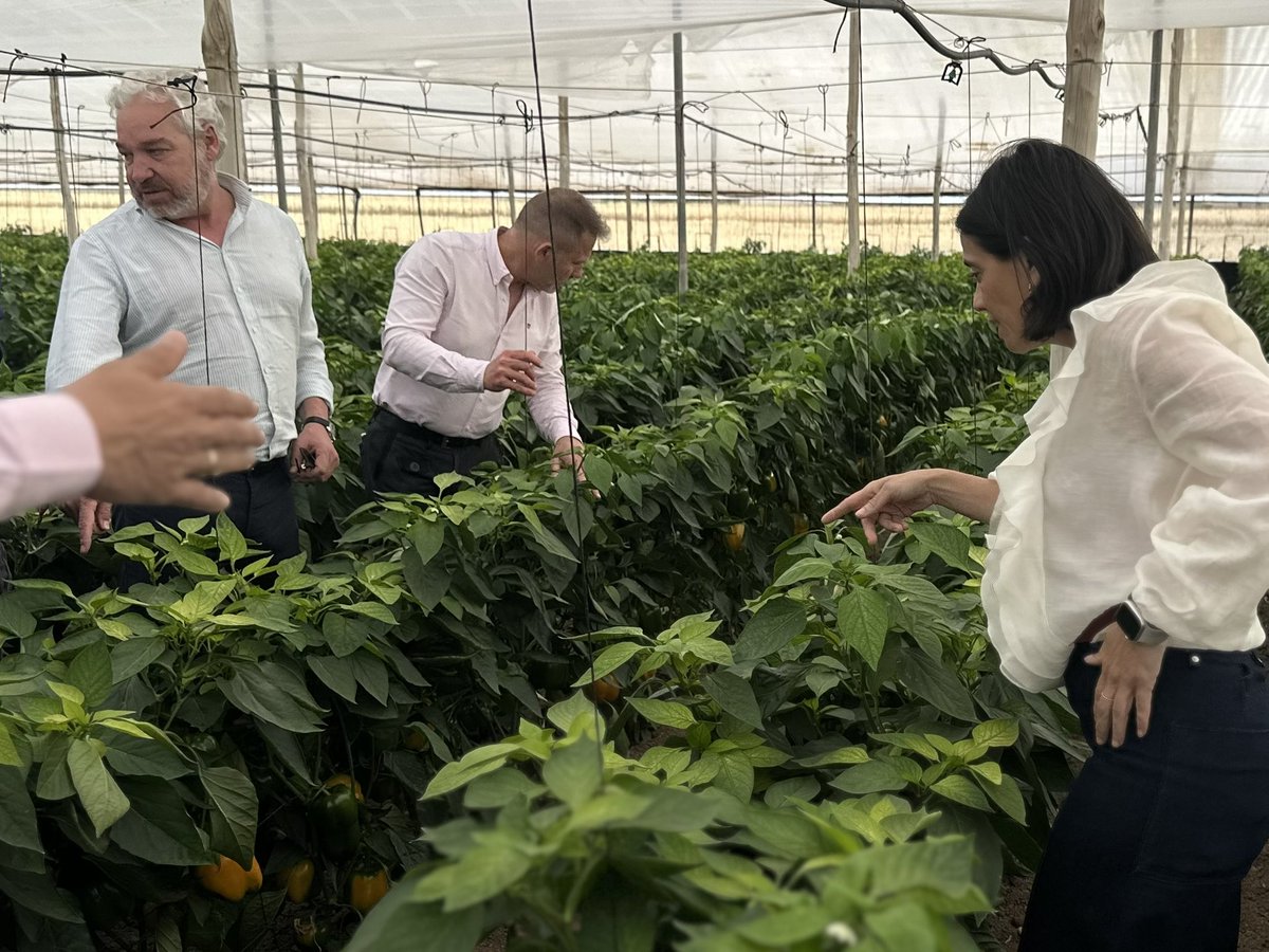 🤝🏽 MC y <a href="/MRMunicipalista/">Movimiento Regional Municipalista</a> reafirman su compromiso contra el recorte del Trasvase Tajo-Segura

🗣️ <a href="/Esther_GuzmanLi/">Esther_Guzman</a>: “El agua no entiende de retrasos ni oportunismos políticos, nuestro objetivo es garantizar un abastecimiento hídrico justo y solidario para el #CampoDeCartagena”