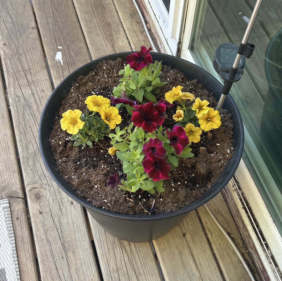 Angie Setzer tweet media