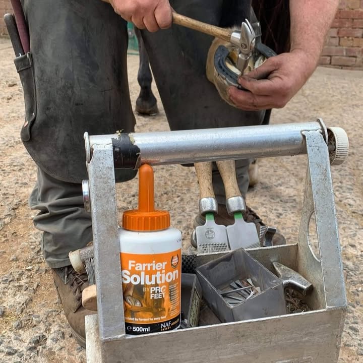 Have you noticed any signs of hoof stress this Spring? 

❌ Cracks
❌ Chipping
❌ Bruising
❌ Dry, brittle hooves 
❌ Soundness issues

Regular farrier visits and NAF Five Star PROFEET can help. Comment below or DM us for more information!