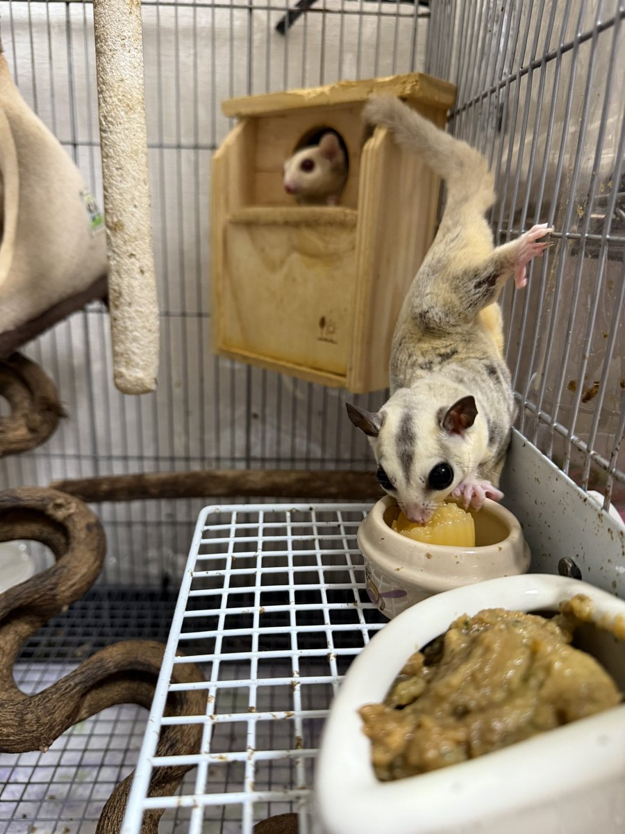 🫰関口訓充🫰 (@kuni32kun) / Posts / X