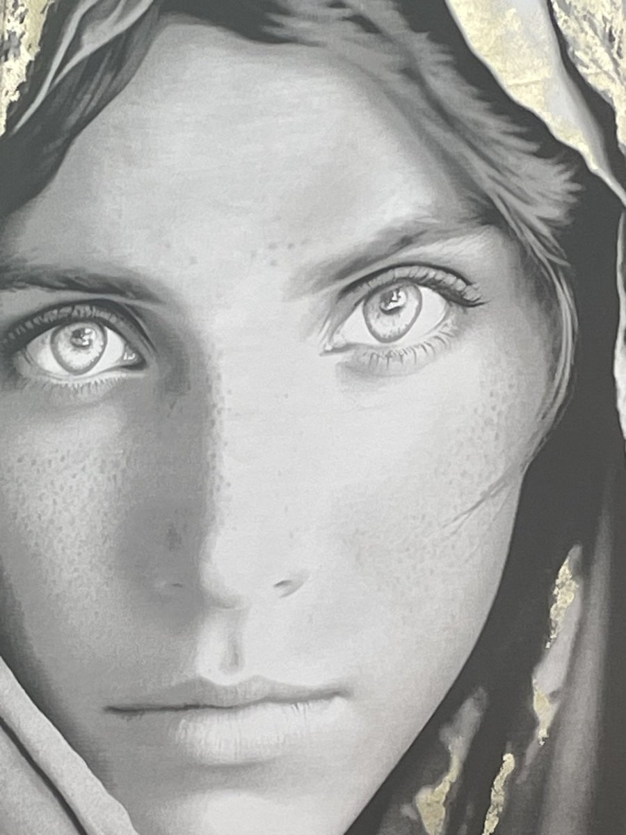 The image of a celebrated Afghan woman as a teenager, prominently showcased in a well known magazine, has become a powerful symbol. However, encountering her likeness in various stores serves as a stark reminder that this woman, currently what she is enduring ,no-one can tell .