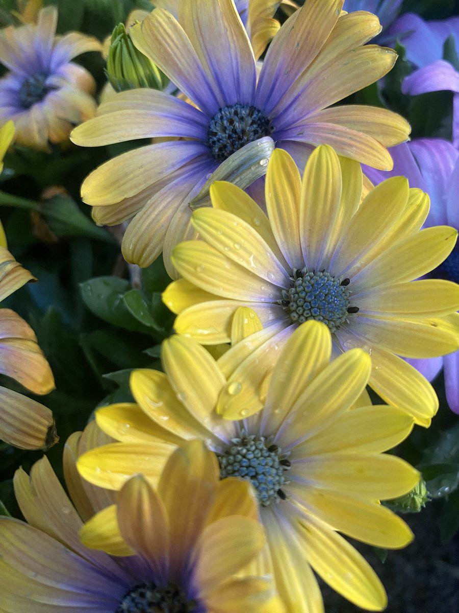 Her güne, hayatının en güzel günü olması için şans ver.

#rain #nature #music #pictures 
Mark Twain