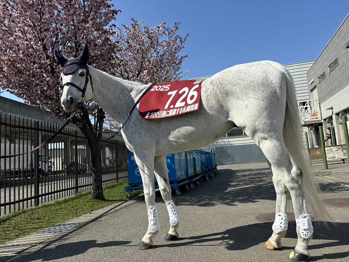 20年位前の札幌競馬場来場プレゼント 非常に高い品質 20年位前の札幌競馬場来場プレゼント