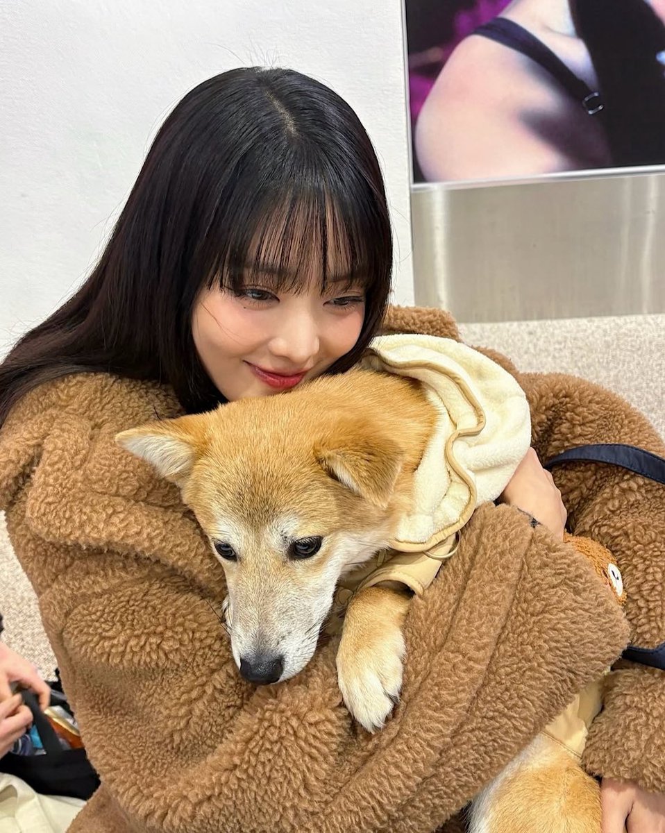 minininiyeon's tweet photo. 강아지고양이조합이란 참좋은것이지요 https://t.co/7Knm6nuPqu