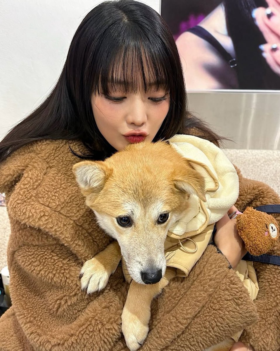 minininiyeon's tweet photo. 강아지고양이조합이란 참좋은것이지요 https://t.co/7Knm6nuPqu