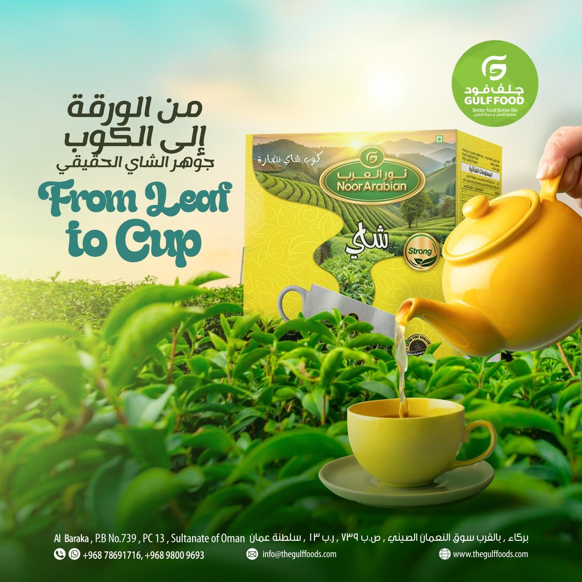 gulf_foods's tweet image. From leaf to cup 🍃☕ Taste the bold &amp;amp; fresh essence of Noor Arabian Tea by Gulf Foods. 

🌿 Start your day right with natural, organic goodness!

📞 +96878691716 | 📧 info@thegulffoods.com
🌐 thegulffoods.com | IG: @gulf_foods
#noorarabiantea #gulffood #teatimevibes4o