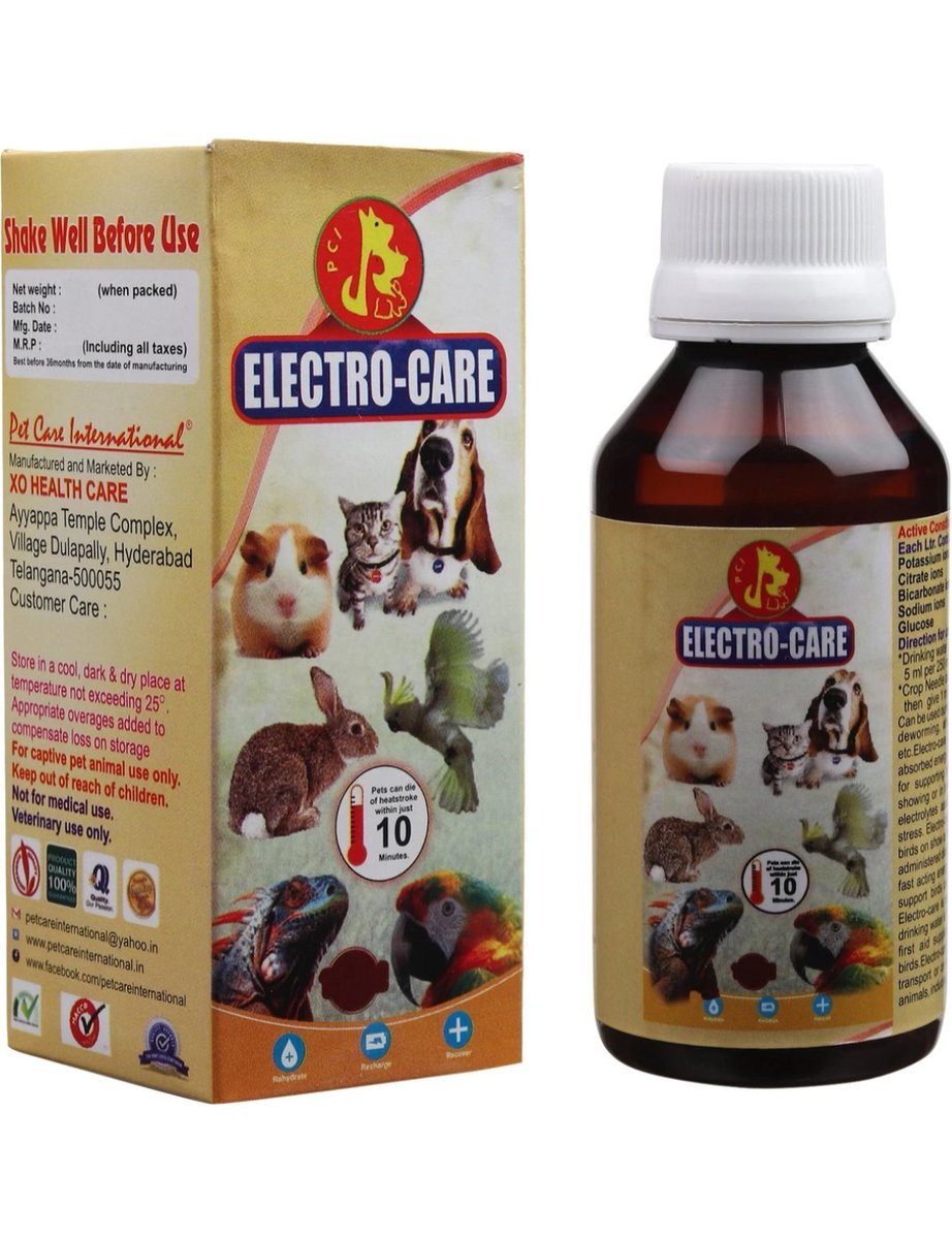 pets_kerala's tweet photo. Available 9747303134 https://t.co/5COoiWUm9t
