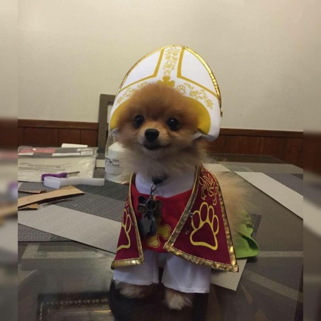 What name would suit him?