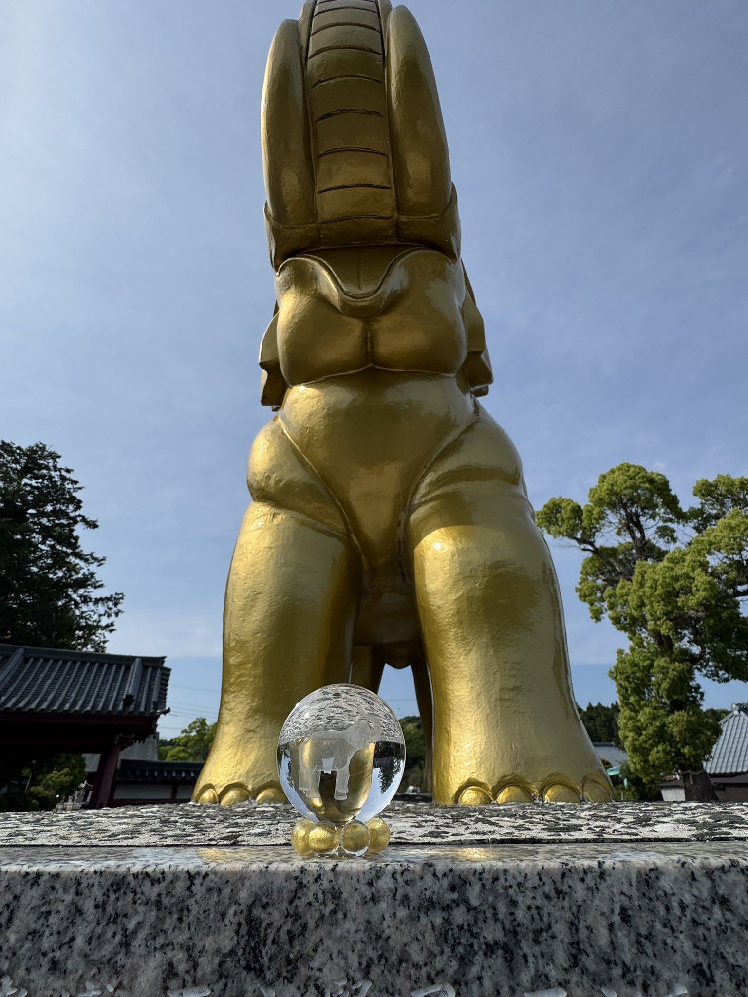 長福寿寺・金運アップの吉ゾウくん【公式】 (@chofukujuji_PR) / X