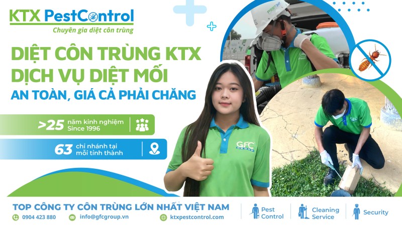 Dịch vụ diệt mối tận gốc tại TPHCM và Hà Nội - An toàn, không độc hại, bảo hành lên đến 5 năm!
Xem ngay: ktxpestcontrol.com/dich-vu/diet-m…
#diet_moi_tan_goc #diet_moi_ktx #ktx_pest_control
Liên hệ ngay 0904 423 880 để được hỗ trợ tư vấn nhanh chóng.