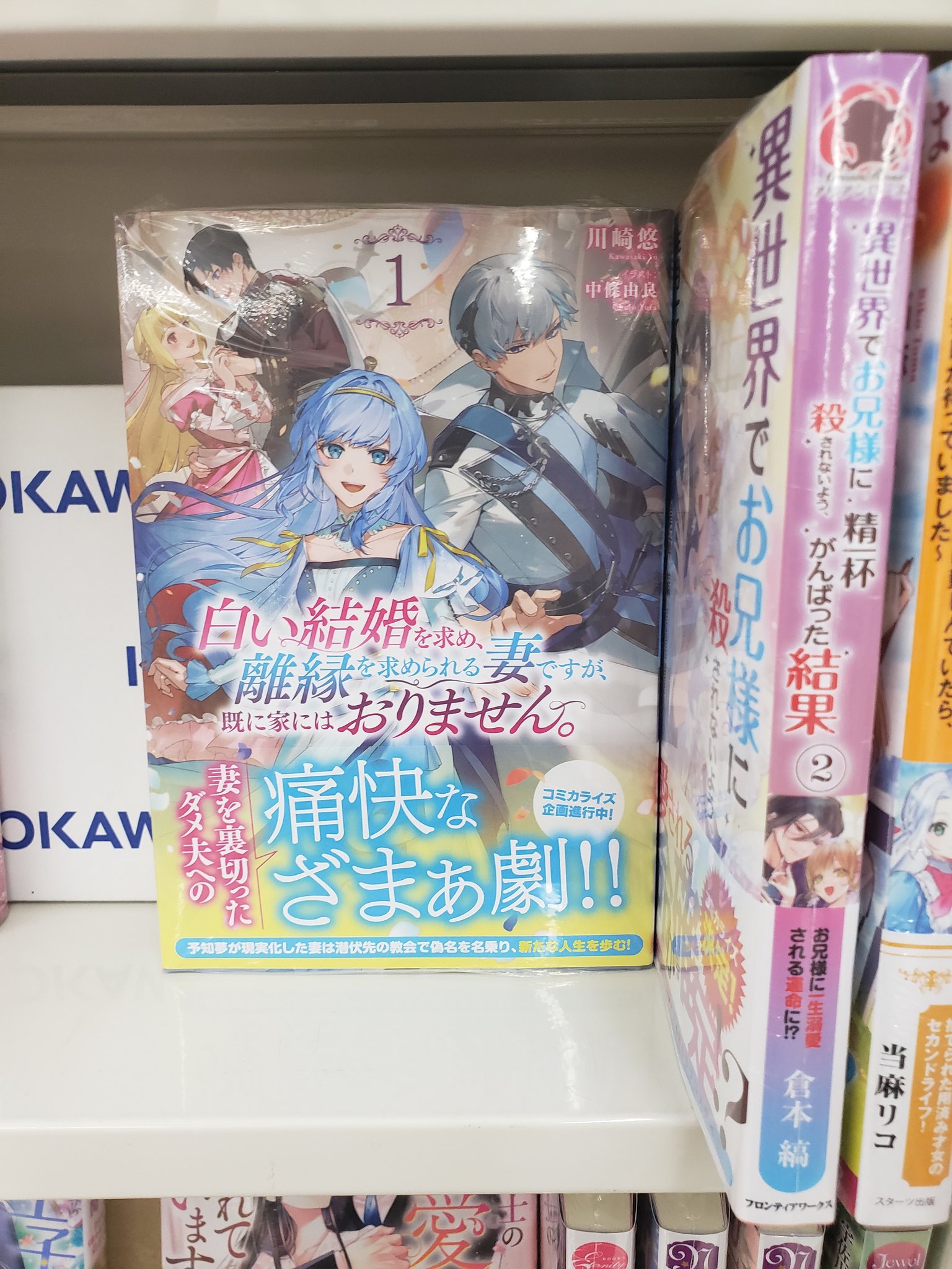 小説「Free Life Fantasy Online〜人外姫様…」全9冊セット 61TaX+z2BoL._UF1000,1000_QL80_.jpg