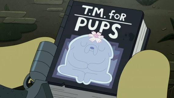 Jake the Dog's career as an author went from writing a book about getting women called 'Mind Games', to a book about trancesdental meditation called 'T.M. for Pups'