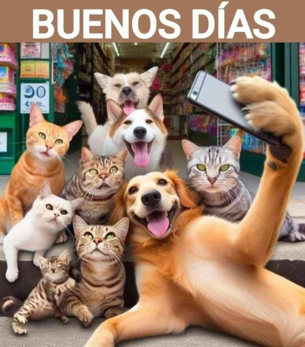 DStummo's tweet photo. @Antonia34831270 Buena jornada 🙏🙏 https://t.co/FIQHSVCiYU
