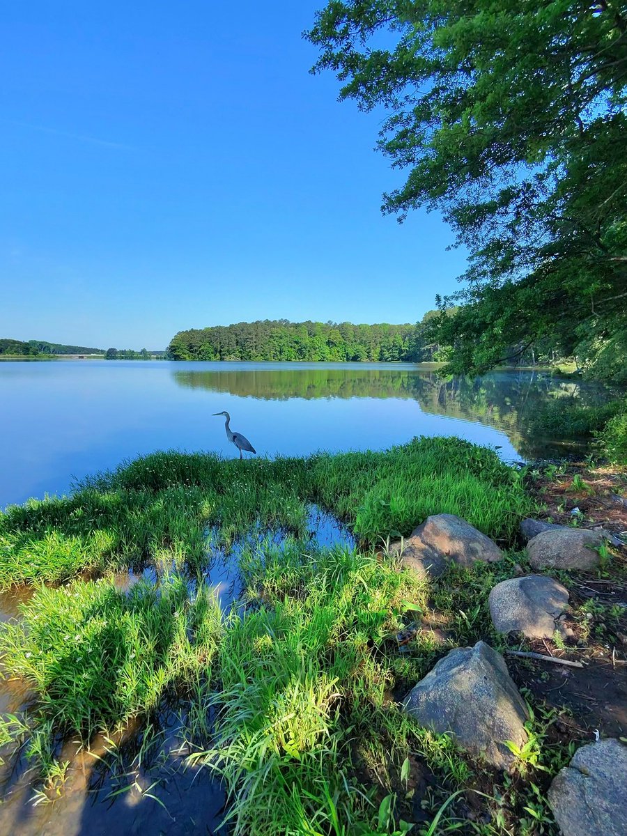haidarkk1's tweet image. I’ve been to many wild places in the world but the beauty of the American wilderness is second to none.
(Picture taken with Ray Ban Meta)