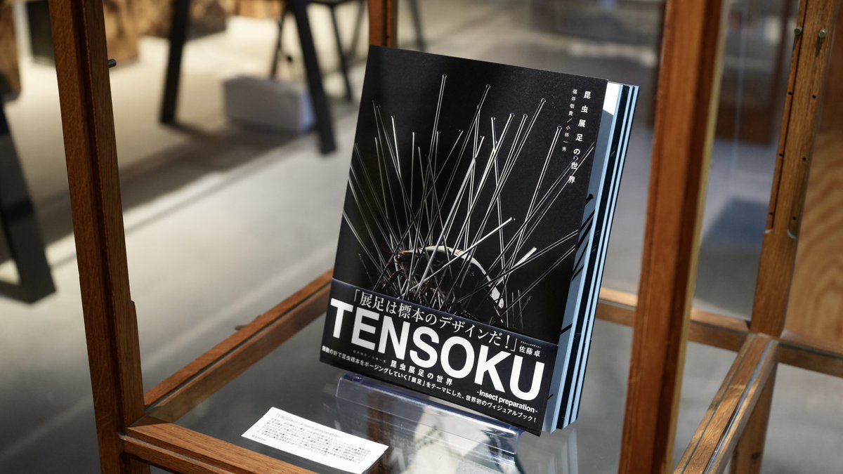 Hanatakient's tweet image. 【イベント情報】現在東京・表参道のCIBONE様にて「Biophilia
LOOSEJOINTS 25SS POP UP CIBONE with STRAIGHT」が開催中です。
「展足-Insect Preparation-」販売中!
またBRUTUS珍奇植物5や、植物に関する展示販売も充実!ぜひお越し下さい。