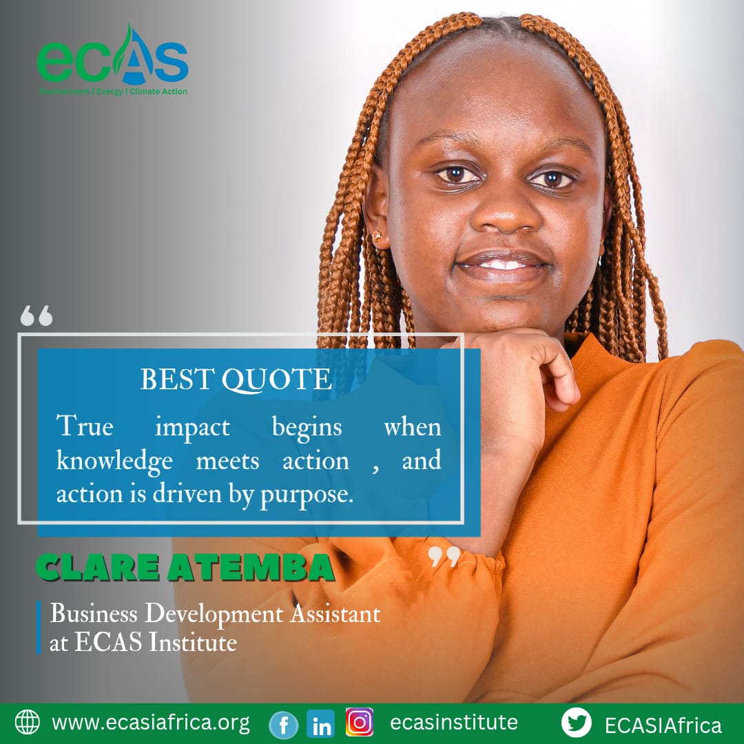 ECAS Institute tweet media