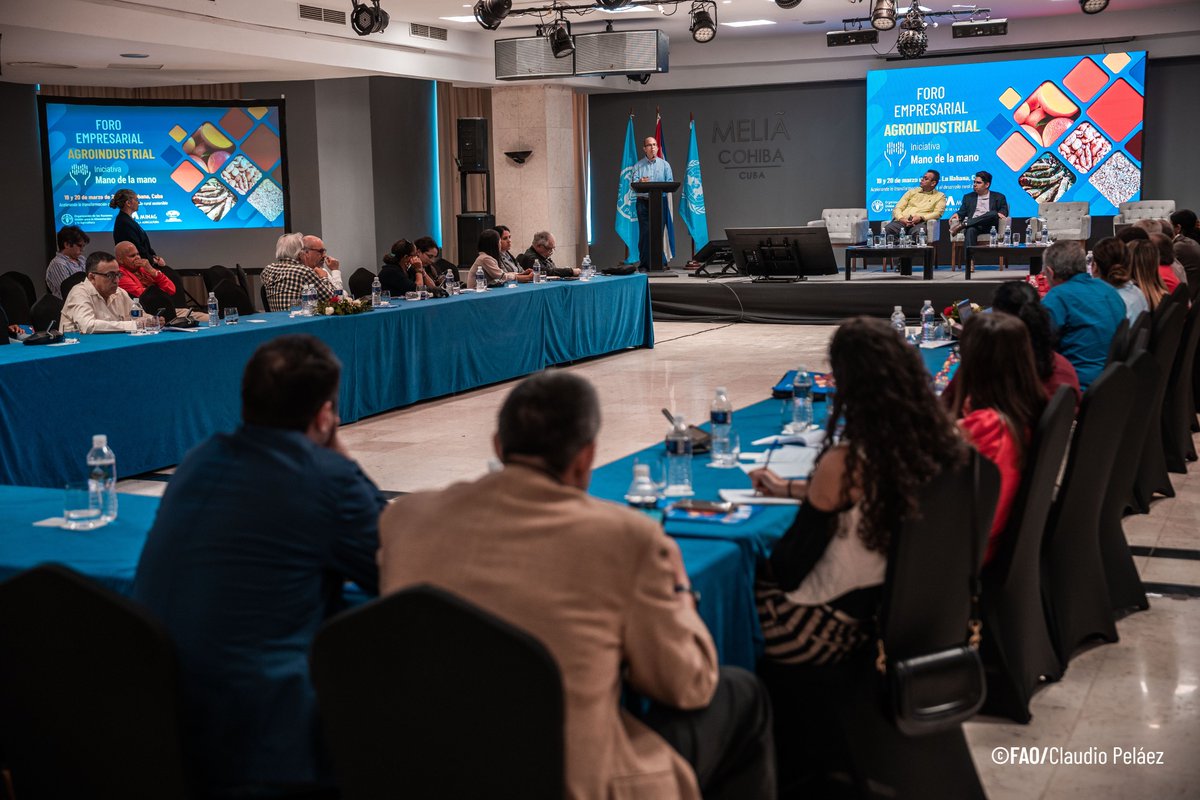 Misión Cuba Roma (@cubaonuroma) on Twitter photo Compartimos imágenes del Foro Empresarial Agroindustrial de la iniciativa Mano de la Mano, organizado por <a href="/MinagCuba/">Ministerio de la Agricultura de Cuba</a>, <a href="/MINCEX_CUBA/">MINCEX🇨🇺</a> y <a href="/FAOenEspanol/">FAO en español</a>. <a href="/MirtaGranda/">Mirta Granda Averhoff</a> Compartimos imágenes del Foro Empresarial Agroindustrial de la iniciativa Mano de la Mano, organizado por <a href="/MinagCuba/">Ministerio de la Agricultura de Cuba</a>, <a href="/MINCEX_CUBA/">MINCEX🇨🇺</a> y <a href="/FAOenEspanol/">FAO en español</a>. <a href="/MirtaGranda/">Mirta Granda Averhoff</a>