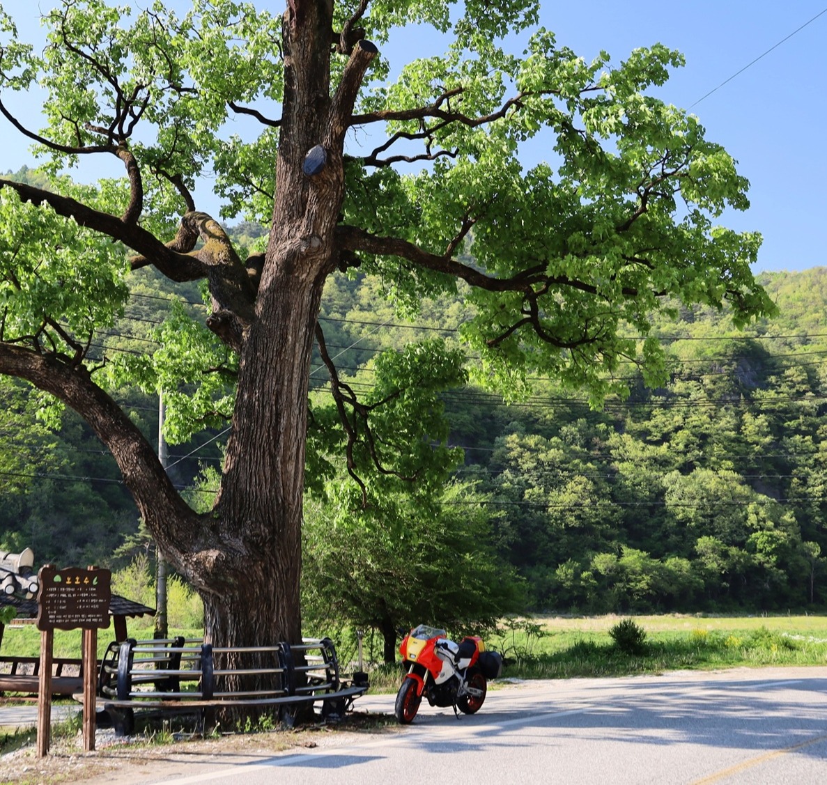 期待通りのスポーツツアラー。#XSR900GP #優秀