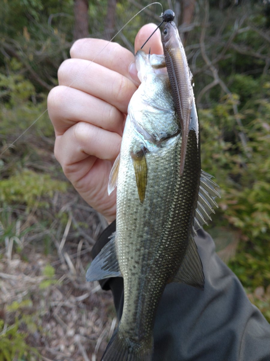 30分Fishing🤓 ミドスト楽しい🎶奥が深いし、セッティングにシビア